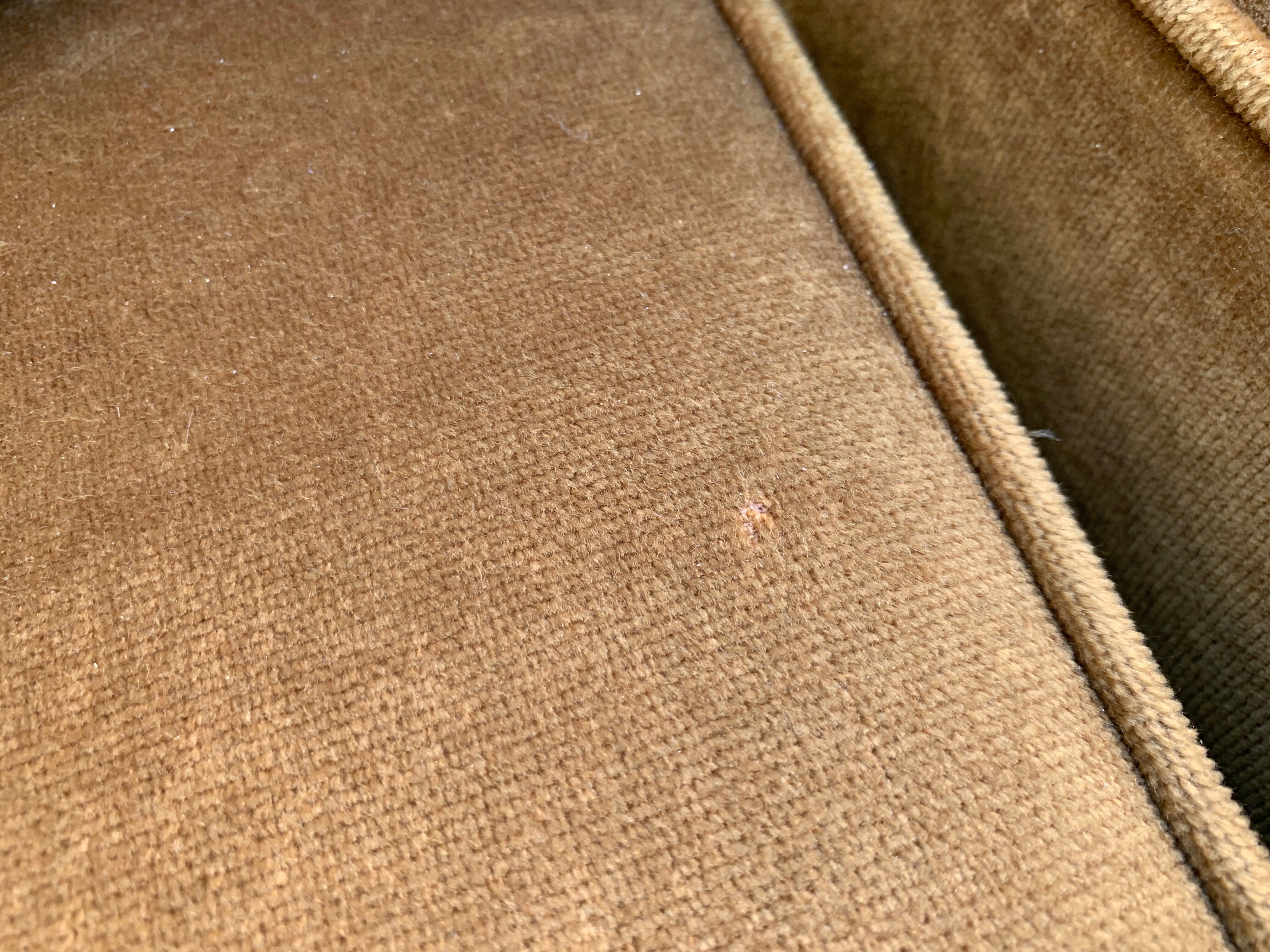 Golden velvet toad sofa