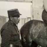Original photograph from the 40s, Girl on horseback