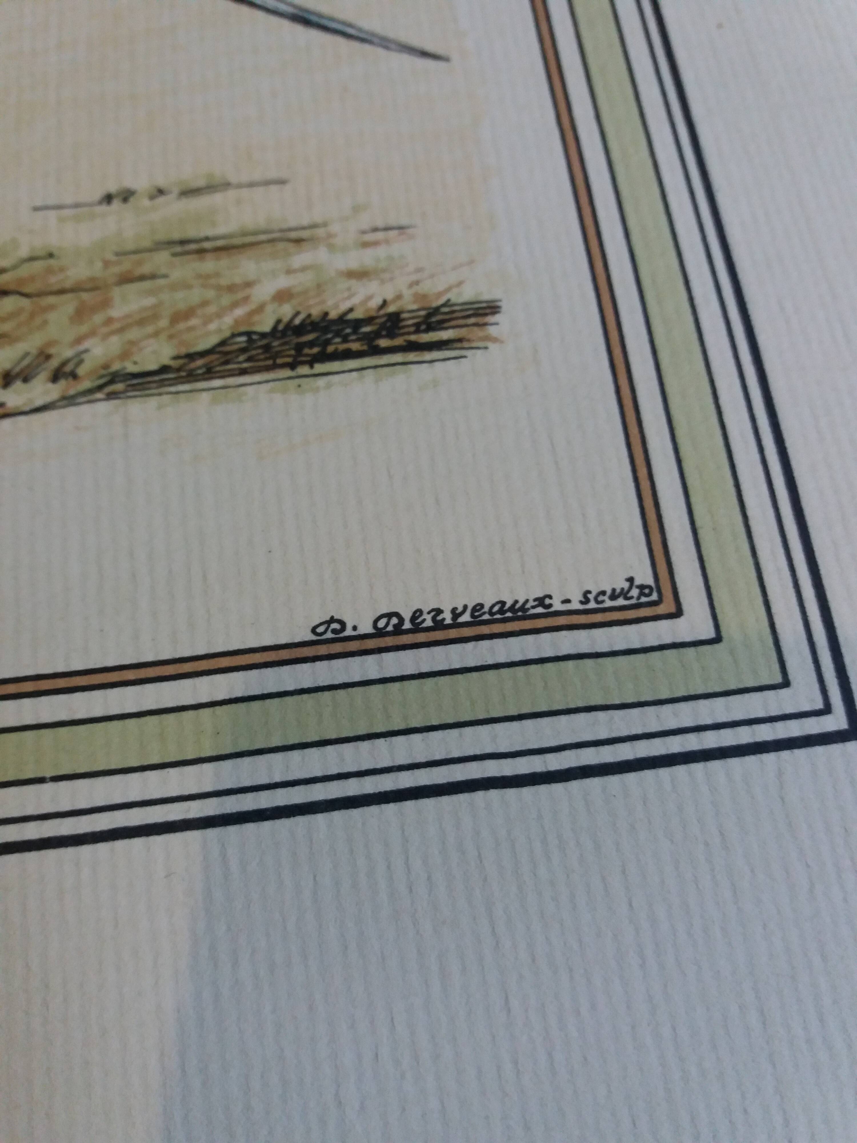 Soldier engravings of the 1st Napoleonic empire