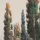 Old painting signed Angelos Giallinas, watercolour on paper from the 1800s.