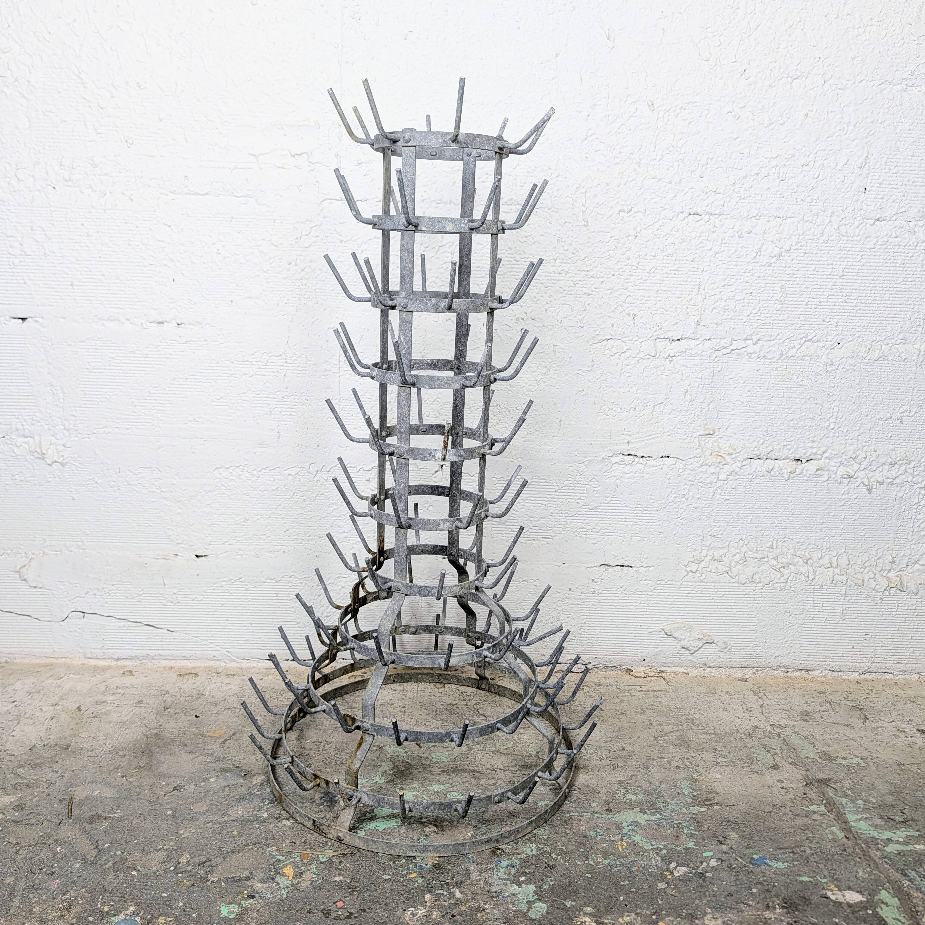 Hedgehog or bottle tree