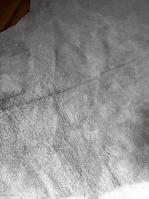 Brown cowhide rug, 2.30m