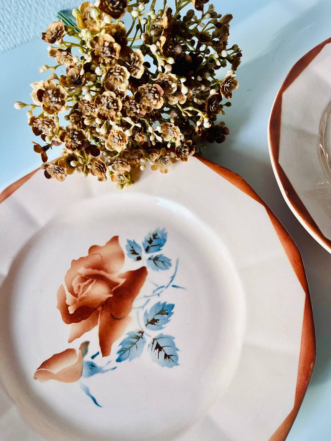 Set of 2 antique Sarreguemines earthenware plates with floral decoration