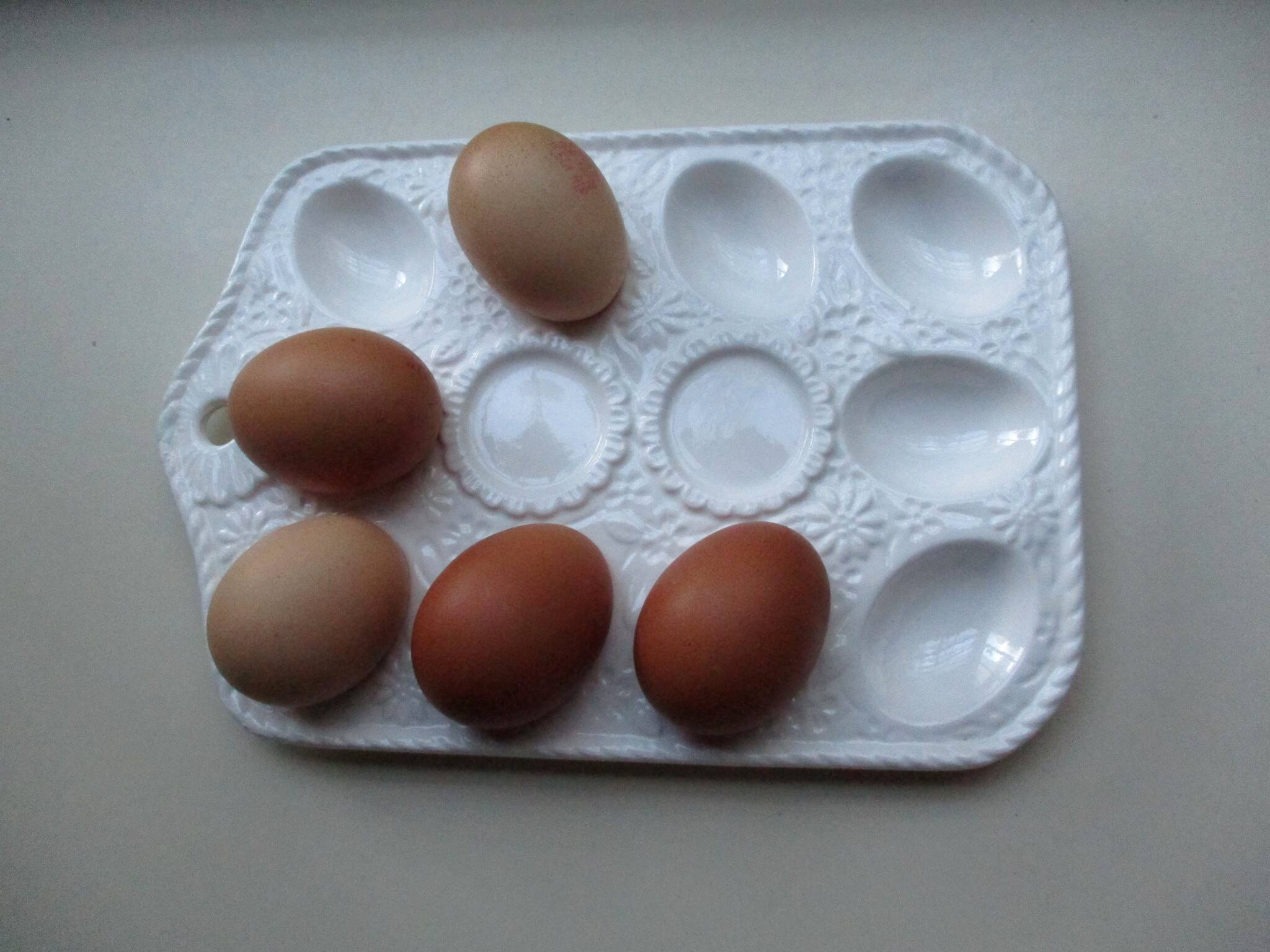 Egg dish, for presentation