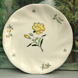 Flat plates stamped saline France