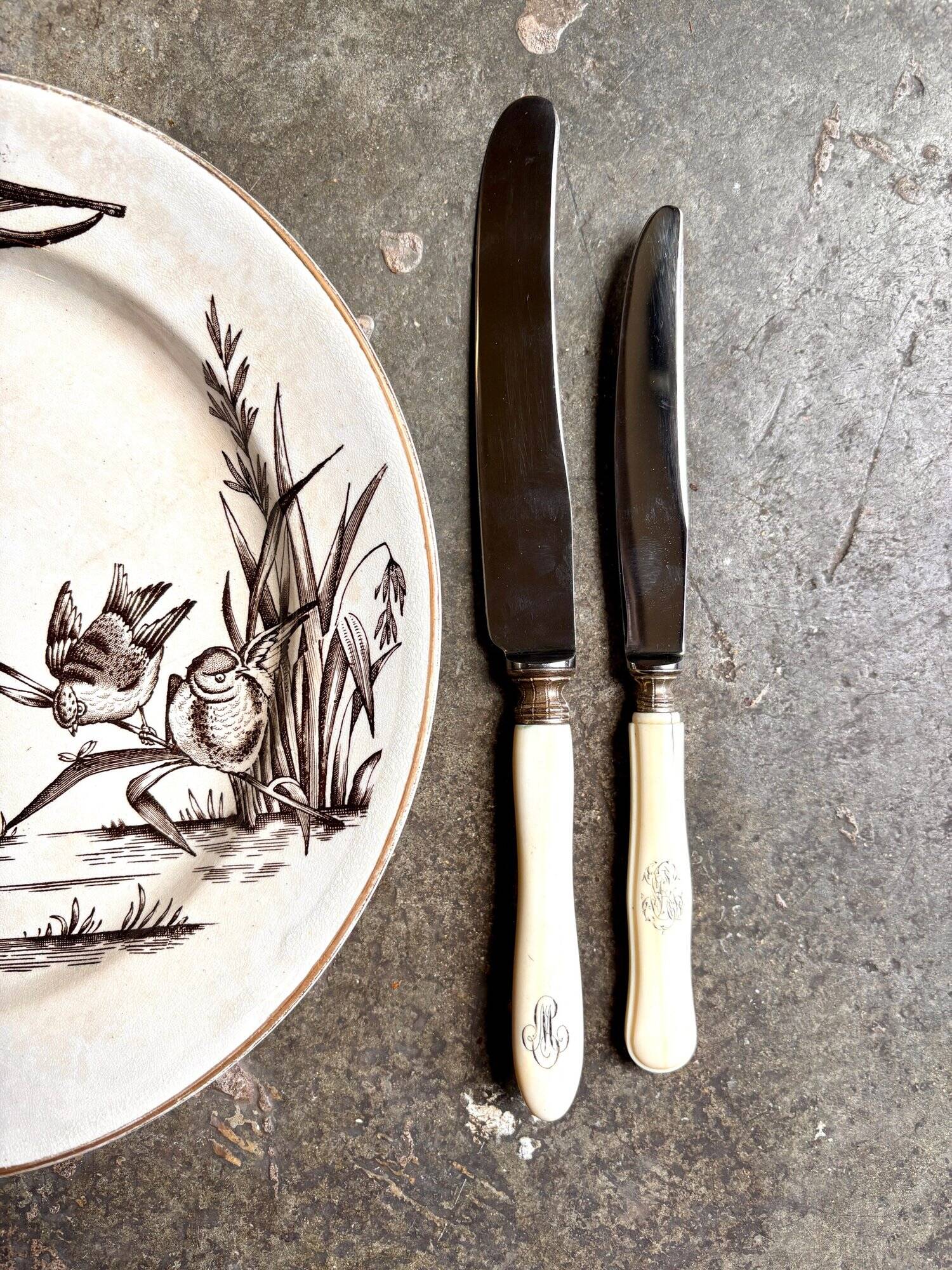 12 stainless steel and monogrammed bone knives