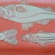 Fish cake dish