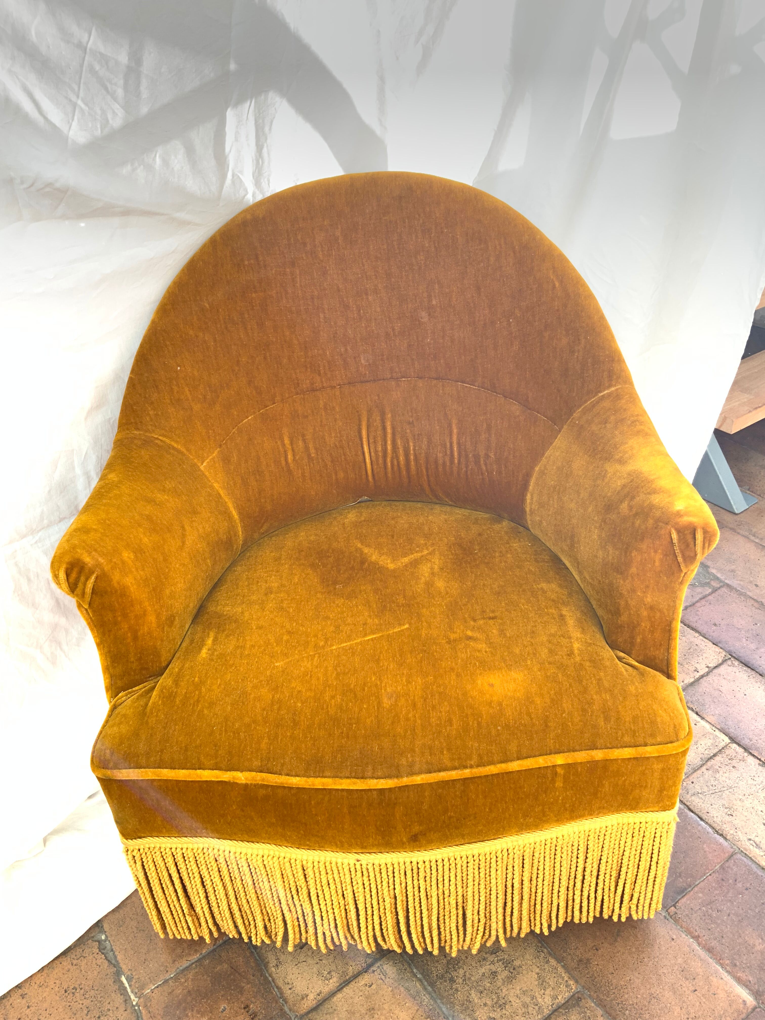 Velvet toad armchair