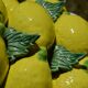 Centrepiece lemons/large fruit bowl in majolica