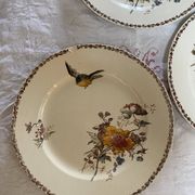 Set of 3 flat plates in polychrome ironstone E. Bourgeois