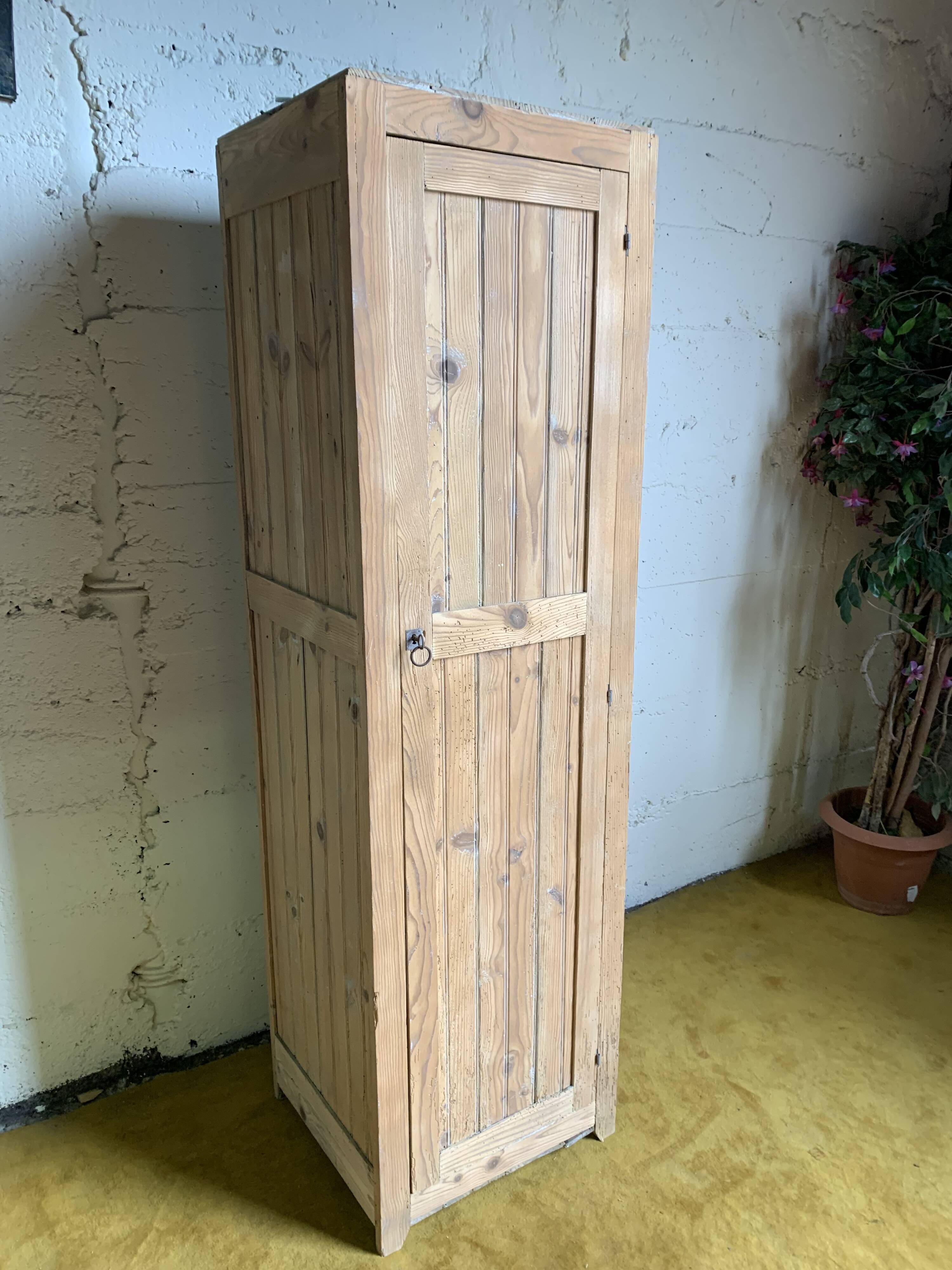 Wardrobe with 1 raw wood door