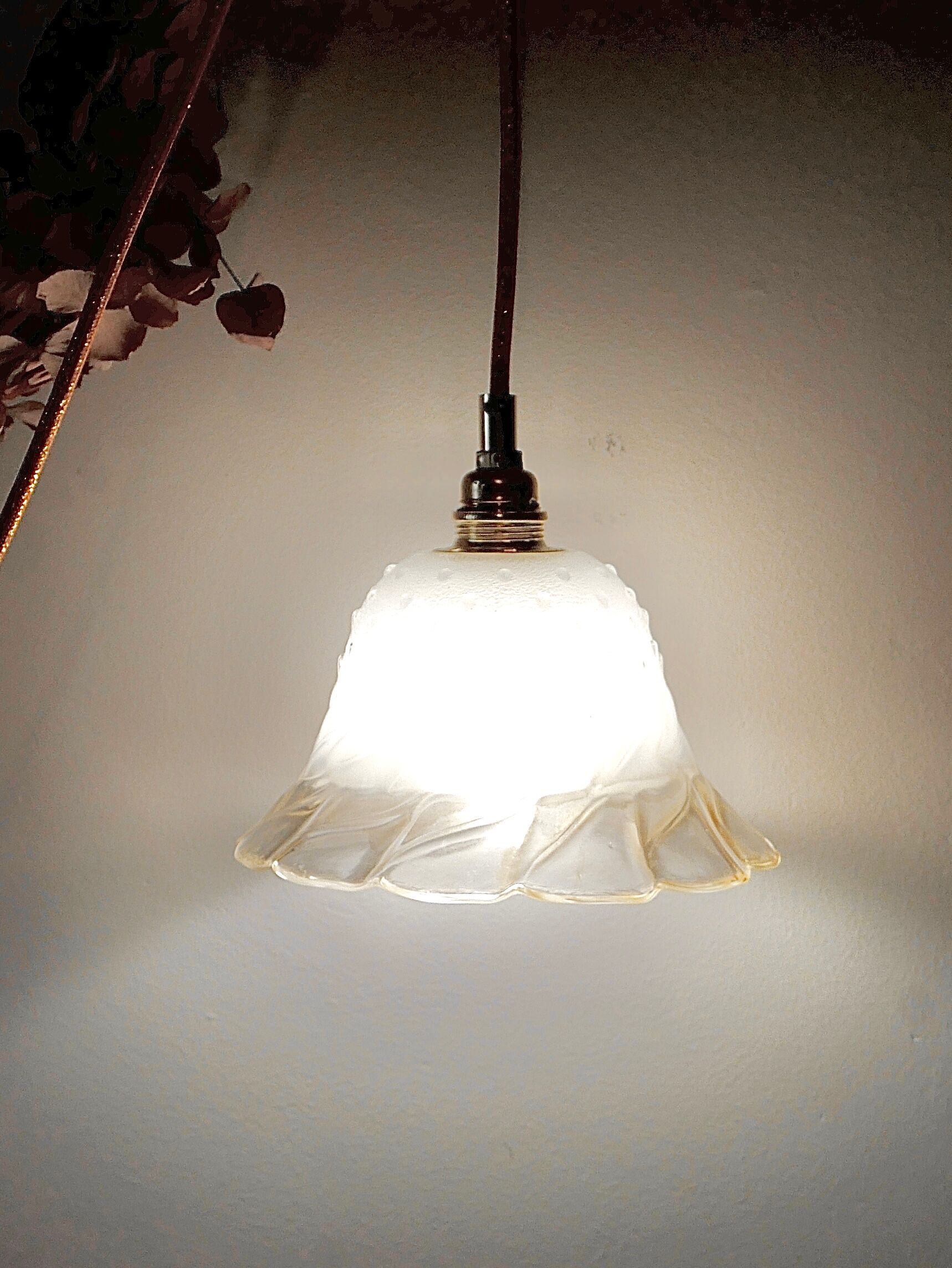 Old flying tulip walker