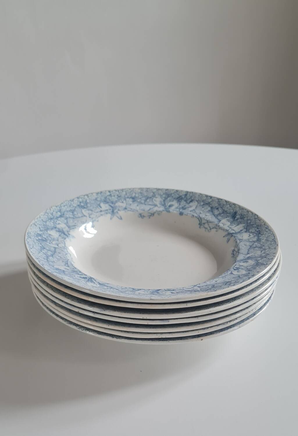 Service of 7 hollow plates in iron clay