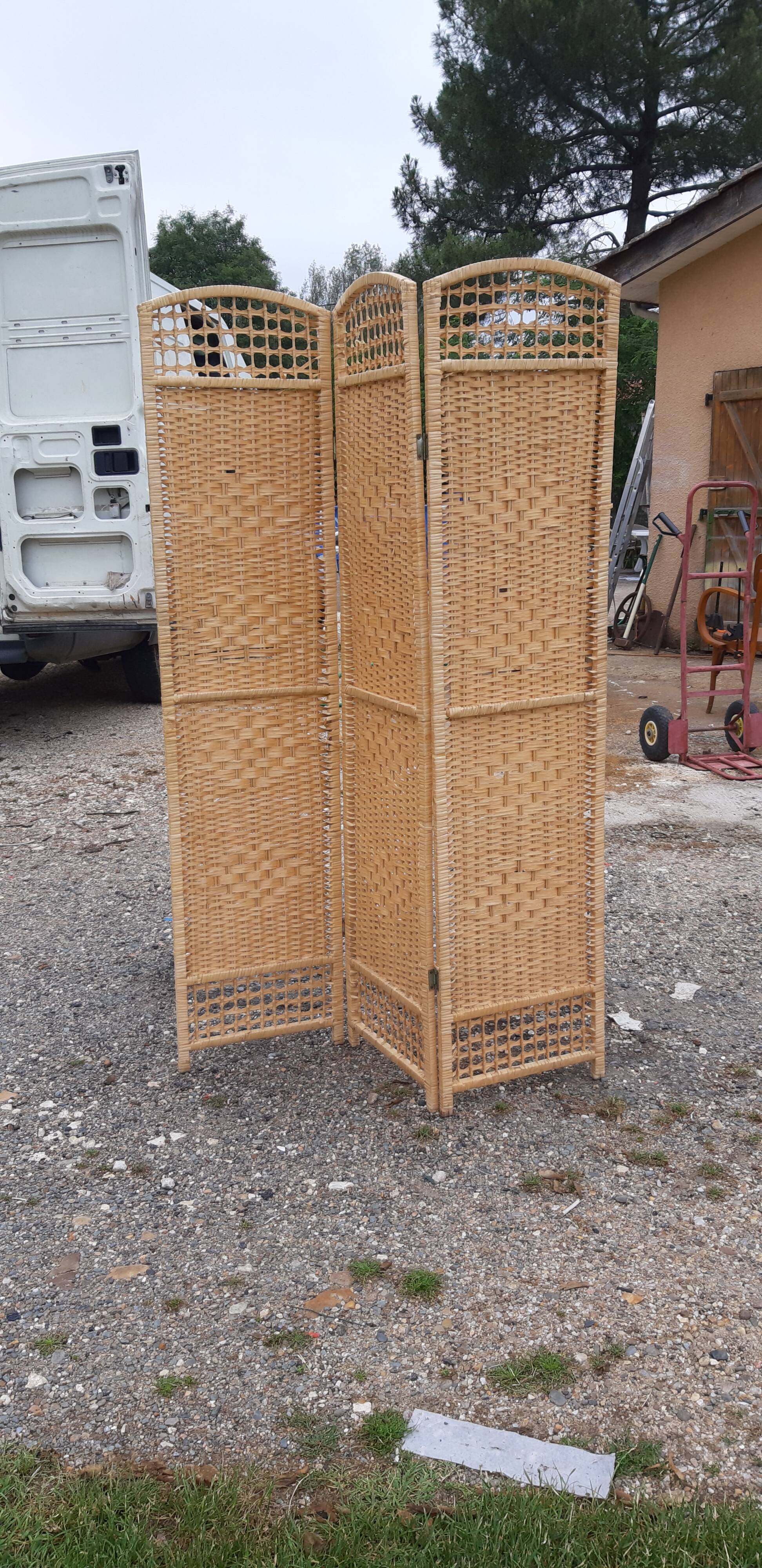 Screen osier 3 leaves
