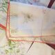 Set of 6 square table napkins