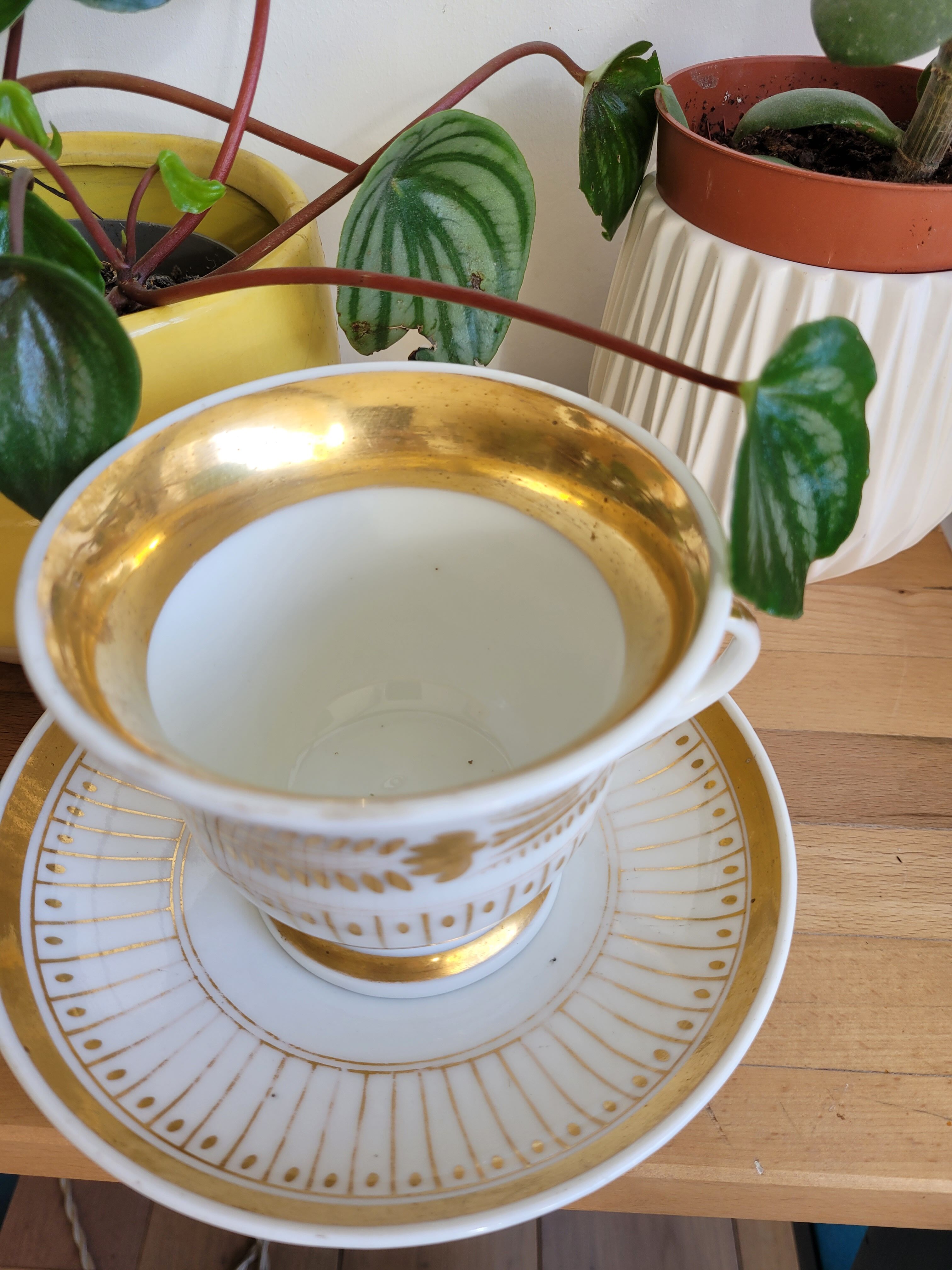 Epis chocolate cup