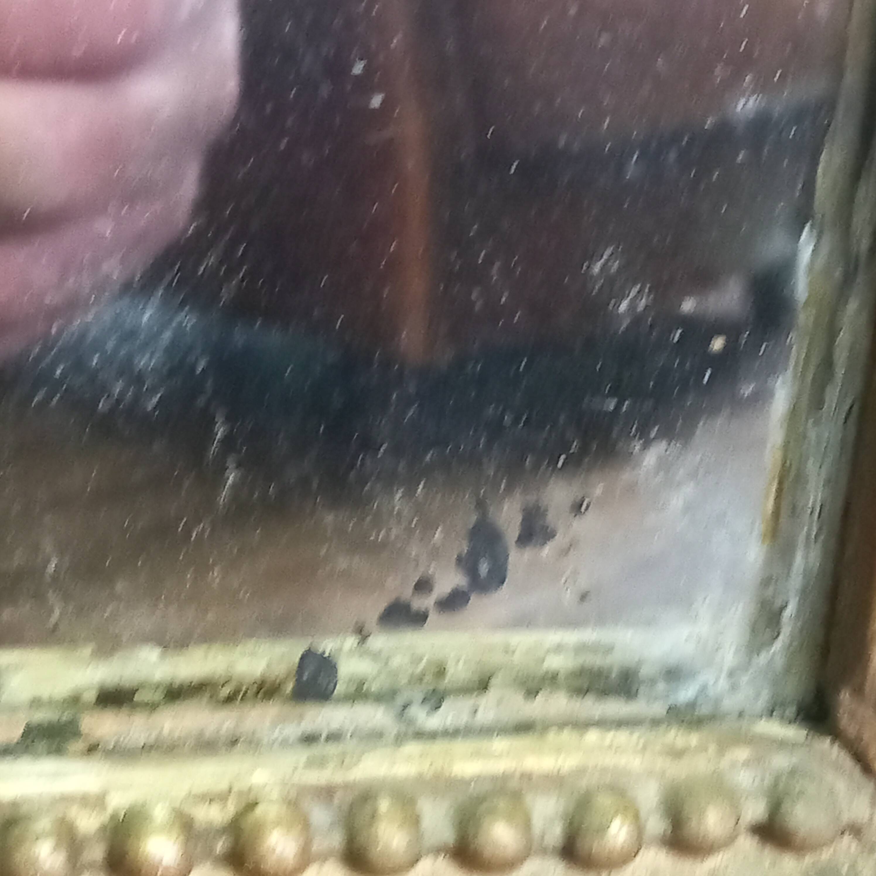 Antique French mantel mirror Louis Philippe style