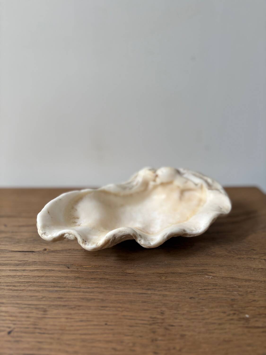 Vintage clam shell