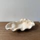 Vintage clam shell