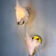 Pair of "Calla Lily" leaf-shaped wall sconces, Murano glass & gilt brass, Italy, circa 1970s