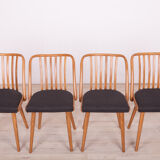Dining Chairs by Antonín Šuman for Ton, 1960