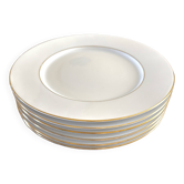 White and gold porcelain dinner plates