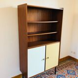 Vintage teak library 1960