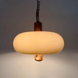 Mid-century space age pendant lamp Temde Leuchten, 1970s Germany