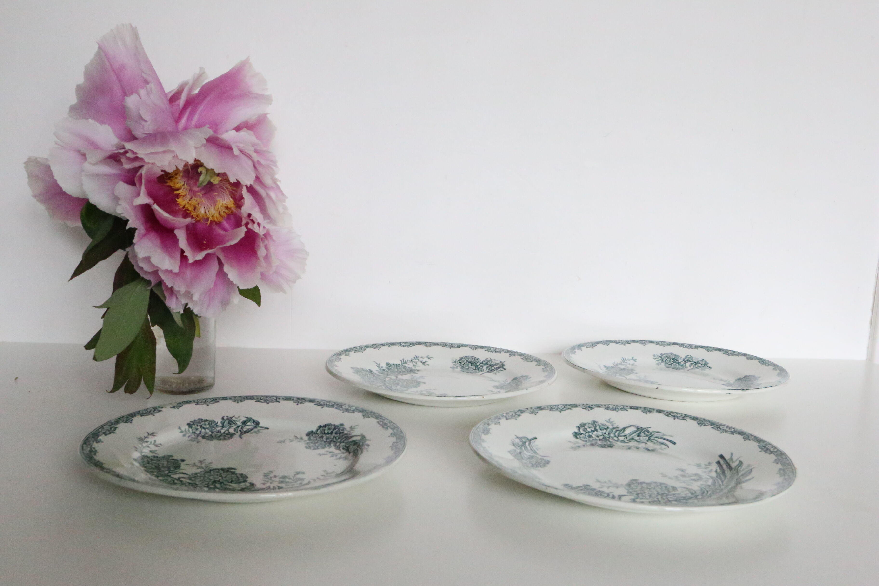 Set of 4 flat plates Terre de Fer, Saint Amand, Daisy