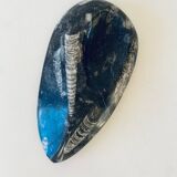 Vide poche marbre et orthoceras