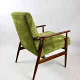 Vintage Green Olive Fox Easy Chair, 1970s