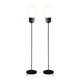 Mid-Century Modern Floor Lamp in Beech and Chrome, 1970s