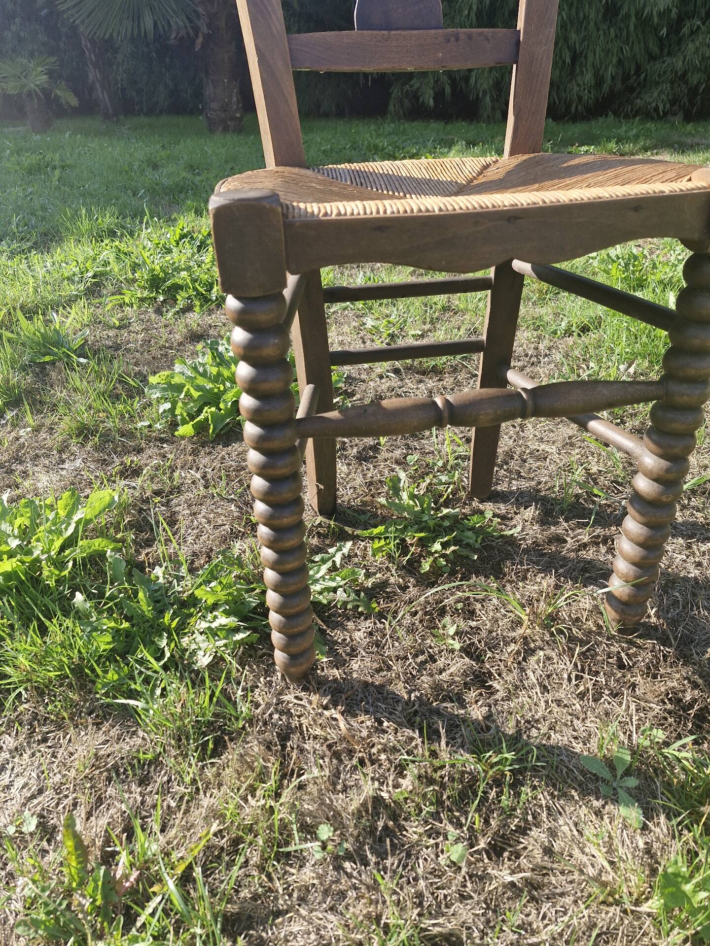 Chaise en bois