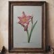 Planche illustrée originale Amaryllis équestre