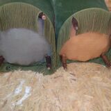 Pair of toad chairs