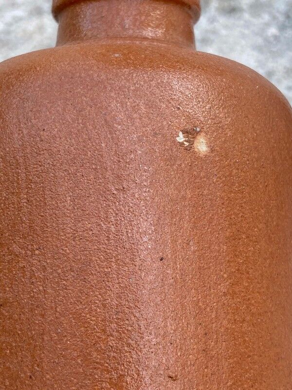 The sandstone bottle/vial/vase