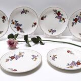 Dinner Plate by Guido Andlovitz for Laveno, Italy