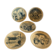 5 sarreguemine themed plates "Theme China"
