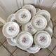 Dessert service cake dish and 12 dessert plates Digoin Sarreguemines Pamplona