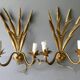 Pair of ear of wheat wall lights in gold metal, 1970s
