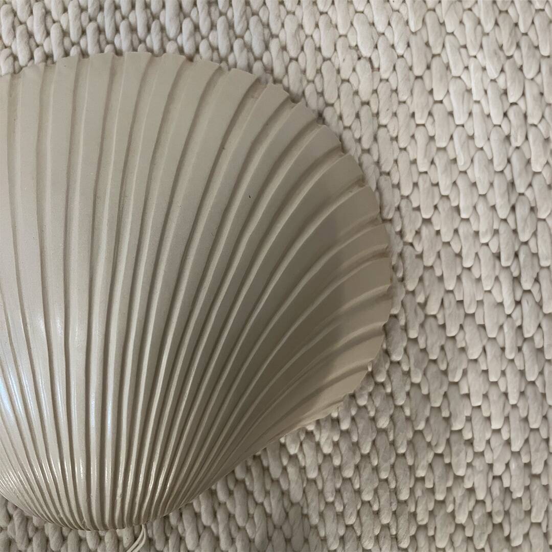 Michel Mahé shell wall light