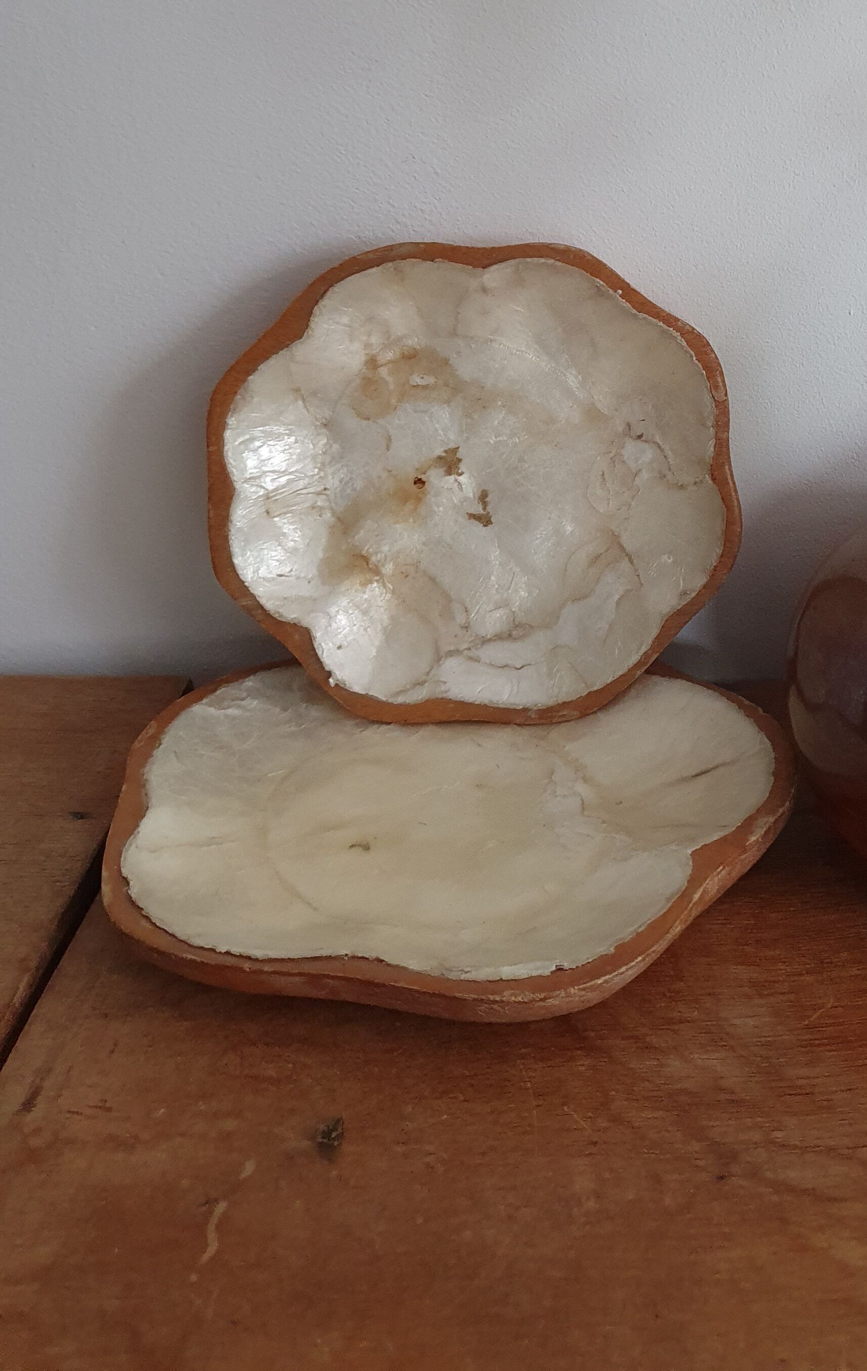 Empty wooden and mother-of-pearl pocket