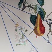 Salvador Dali : Flordali II, La rose papillon - Lithographie originale signée