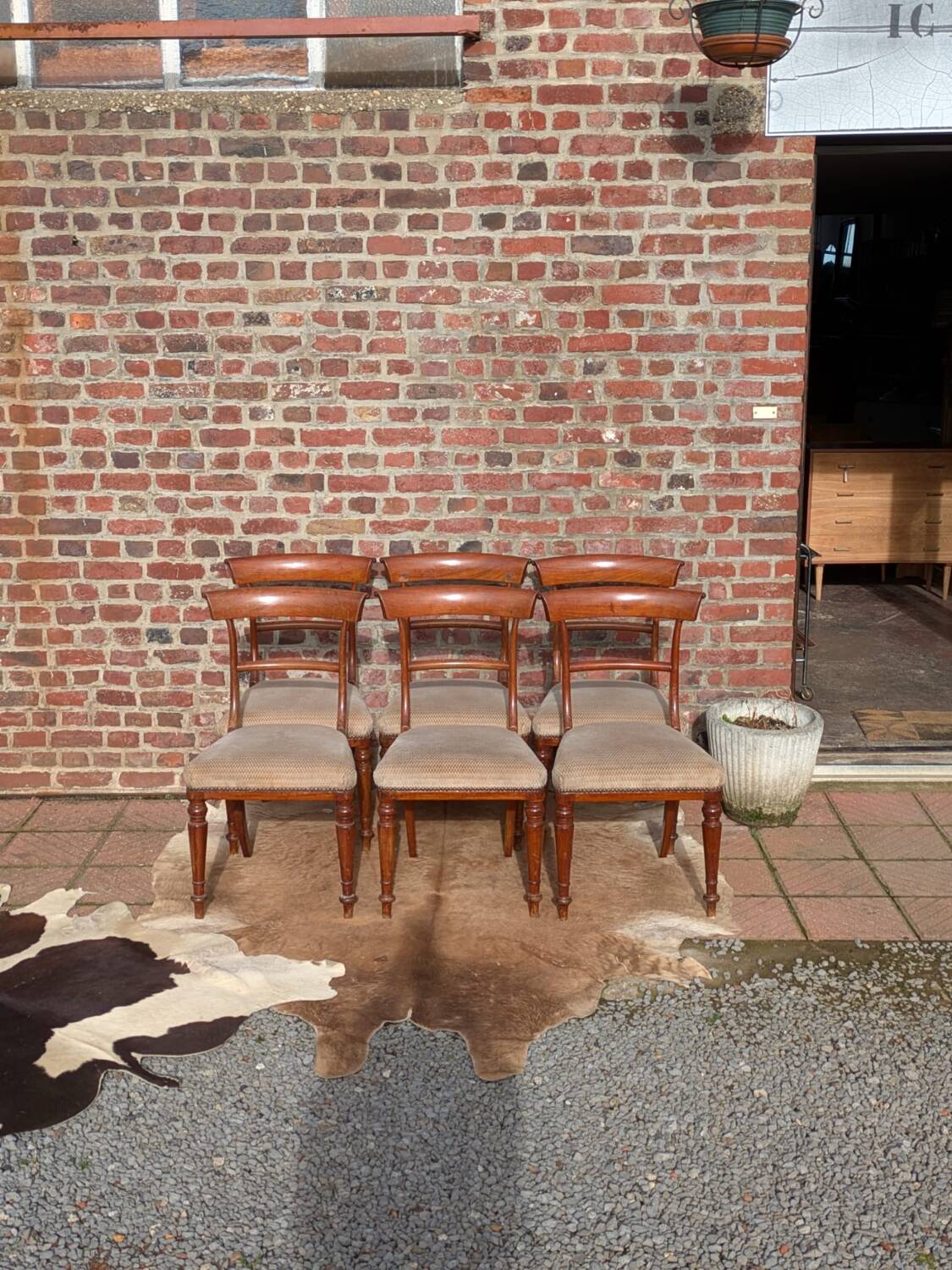 Set of mahogany chairs