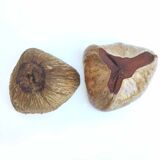 Vintage coconut ice bucket