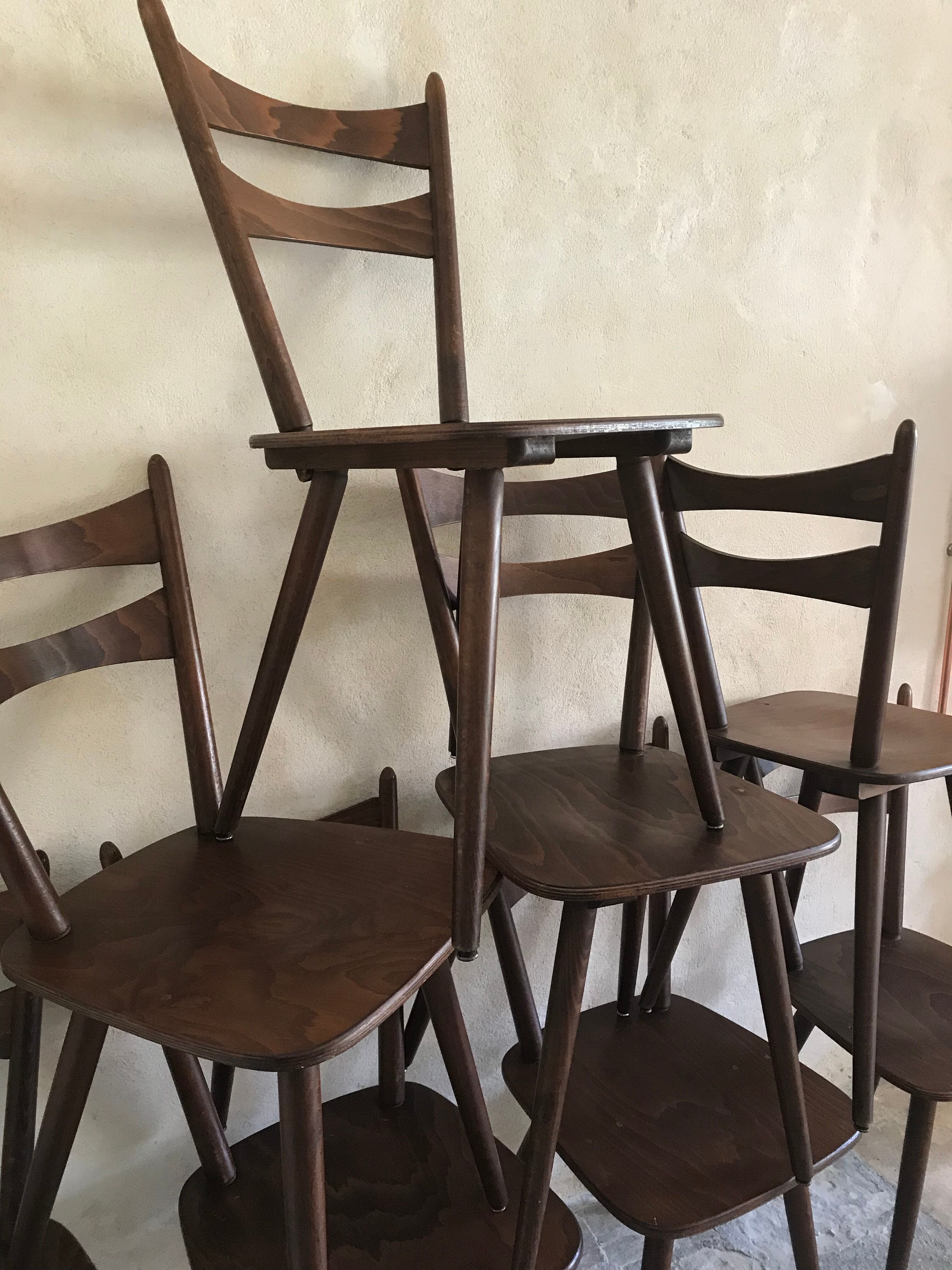 Set of 8 vintage chairs 1960 in beech compass feet