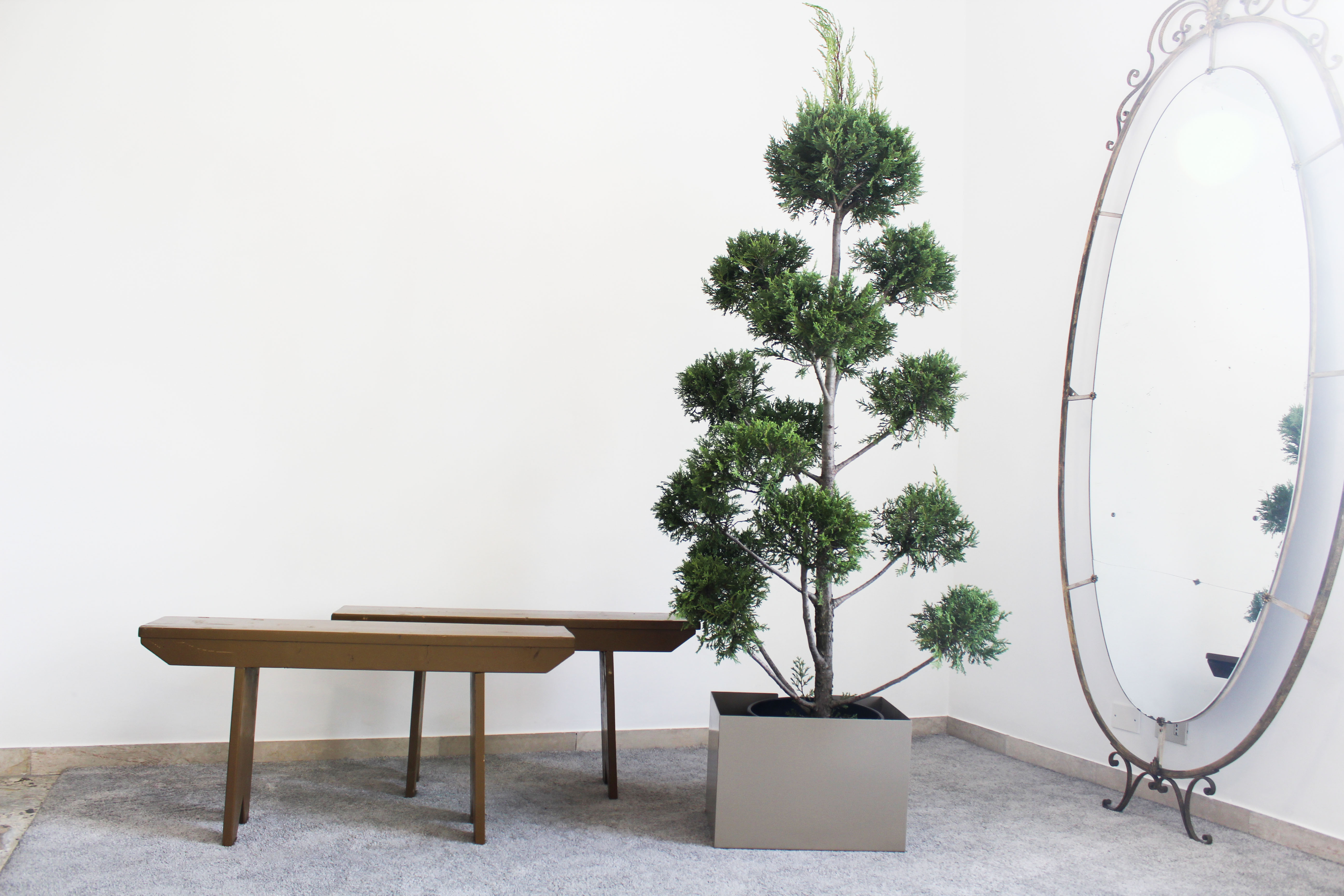 Pair of Spruce Wood Benches, Italy 50s