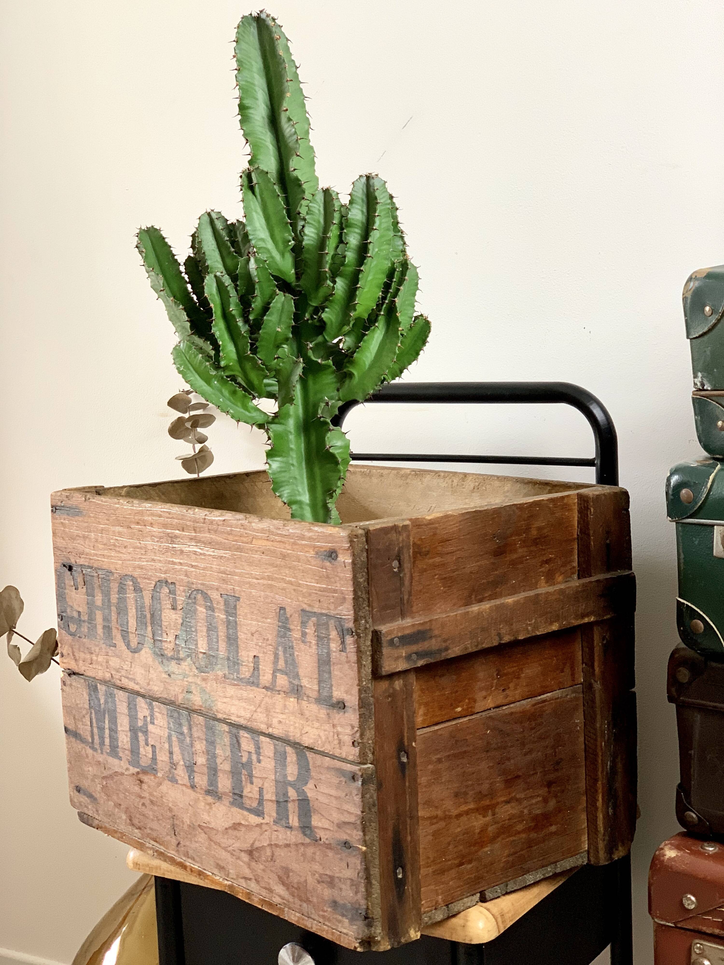 Old menier vintage chocolate crate