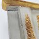 Antique "Restoration" period mirror with under-glass painting circa 1830