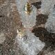 Set of 5 vintage molded glass globe suspensions